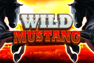 Wild Mustang