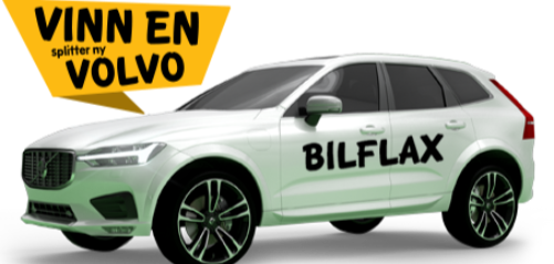 Game logo BilFlax