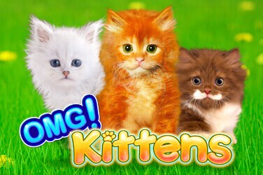 OMG! Kittens Slot-Spiel
