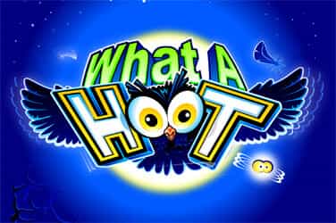 What A Hoot
