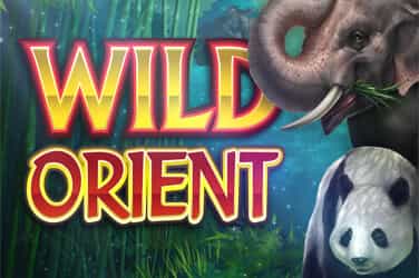 Wild Orient game screen