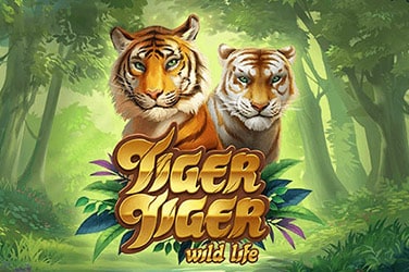 Tiger Tiger