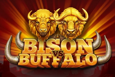 Bison vs Buffalo