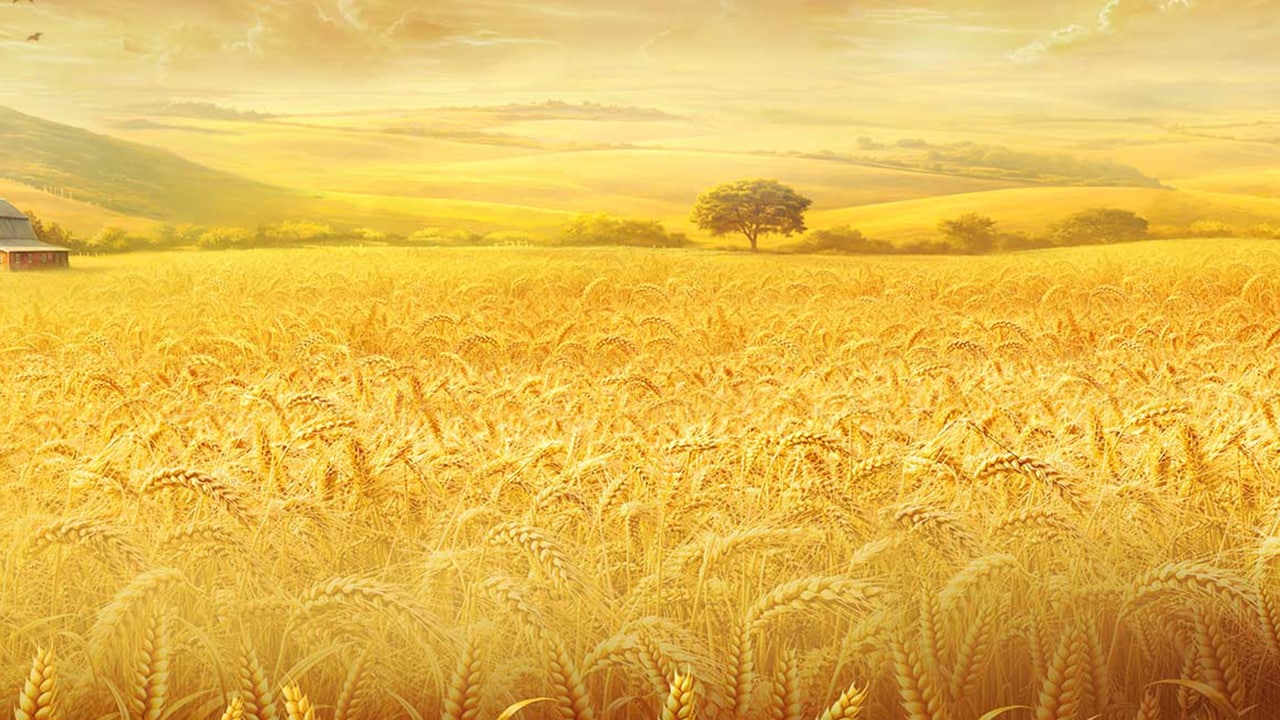 game.background_image