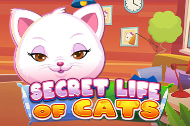 Secret Life of Cats