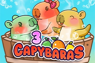3 Capybaras