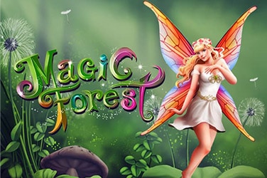 Magic Forest
