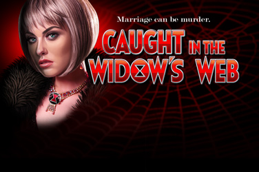 Caught in the Windows Web game screen
