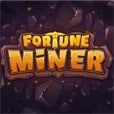 Fortune Miner