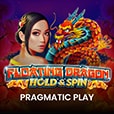 Floating Dragon