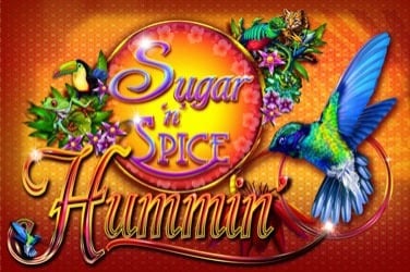 Sugar N Spice Hummin