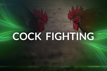 Cock fighting (VirtualGeneration)