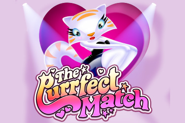 The Purrfect Match game screen