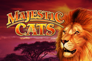 Majestic Cats game screen