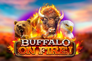 Buffalo On Fire! Slots  (Red Rake Gaming) PLAY DEMO MODE OR WITH REAL MONEY