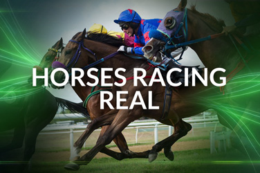 Horse Racing Real (VirtualGeneration)