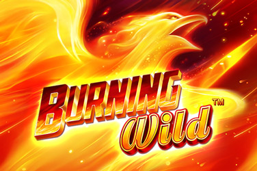 Burning Wild