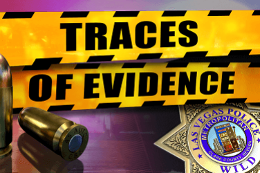 Traces of Evidence game screen