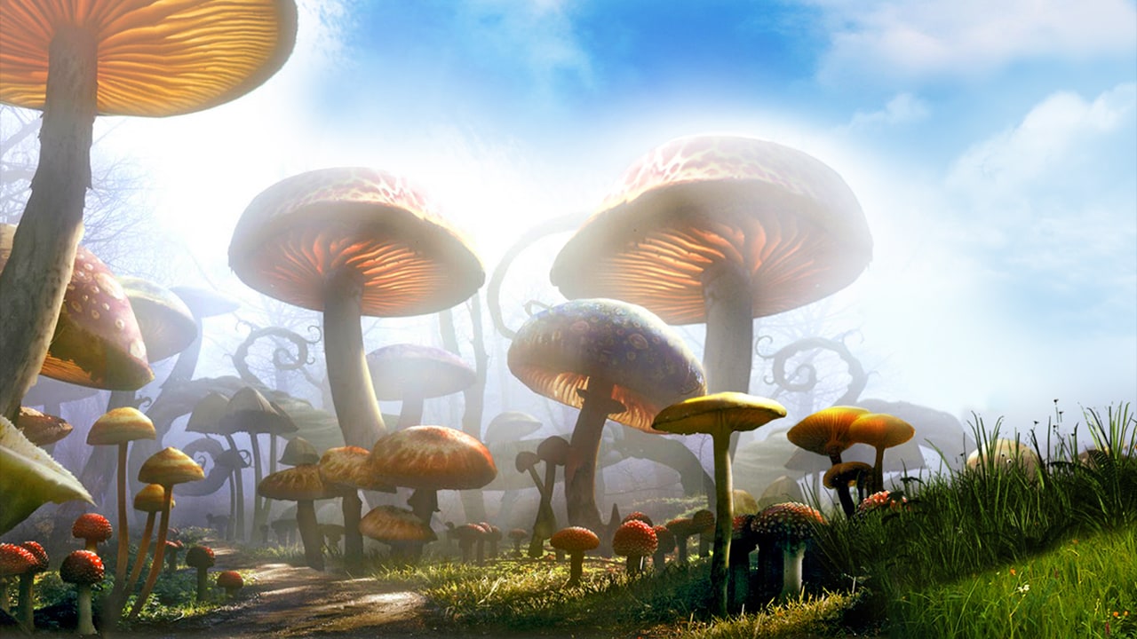 game.background_image