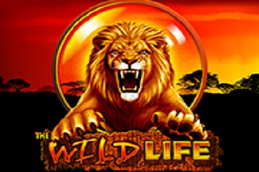 The Wild Life game screen