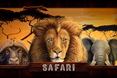 Safari