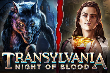 Transylvania Night Of Blood game screen