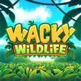Wacky Wildlife