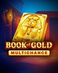 Book of Gold: Multichance